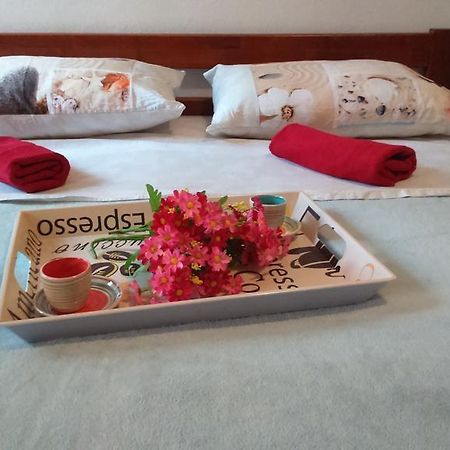 Apartment Vladka Изола Екстериор снимка